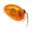 Indicator Jmp