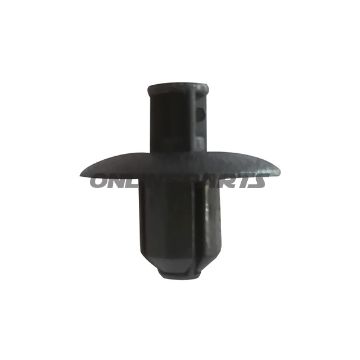 Push Rivet10 Pieces