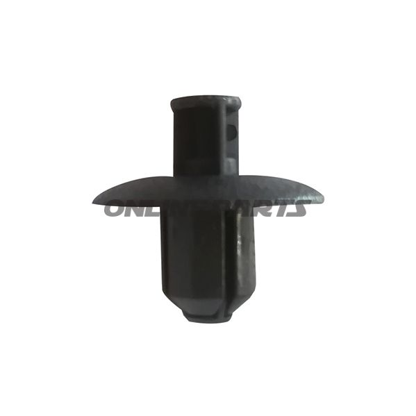 Push Rivet10 Pieces