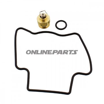 Carburetor Repair Kitkurz Satz