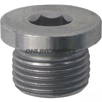 Core Plug10 Pieces