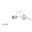 Vario Banjo Fittingtyp000 10 Mm 0Deg In