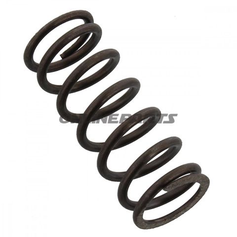 Clutch Spring (Orig Spare Part)