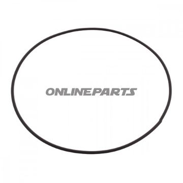 Sealing Ring (Orig Spare Part)