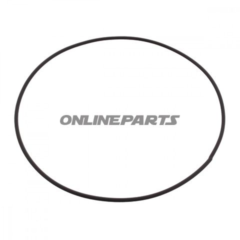 Sealing Ring (Orig Spare Part)