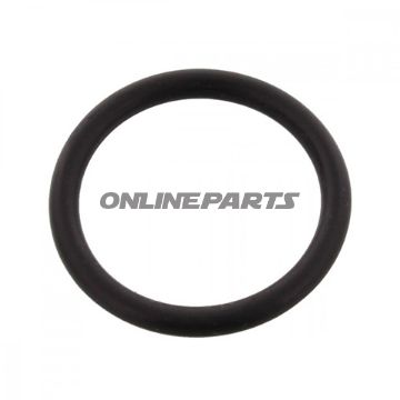 Sealing Ring Swingarm (Orig Spare Part)