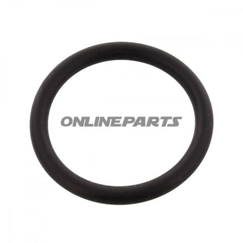 Sealing Ring Swingarm (Orig Spare Part)