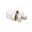 Bleed Screw (Orig Spare Part)For Coupling Cover