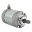 Arrowhead Starter Motor
