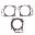 Topend Race Gasket Kit Athena