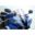 Racing Screenpuig - Clear