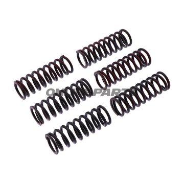 Clutch Spring Kit Reinforced Trwcont 6 Pcs