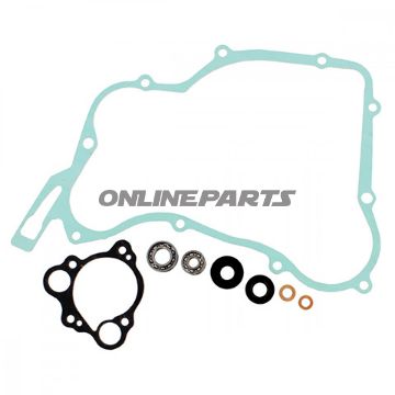 Water Pump Repair Kit