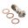Banjo Bolt Double M10x1.00Titan Rac Pb