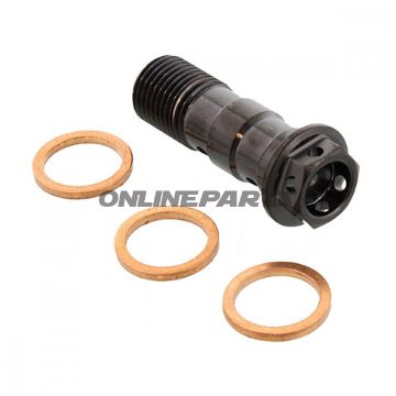 Banjo Bolt Double M10x1.00Titan Rac Black Pb
