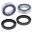 Wheel Bearing Kit All Balls Racing