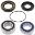 Wheel Bearing Kit All Balls Racing