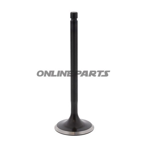 Inlet Valve Jmp
