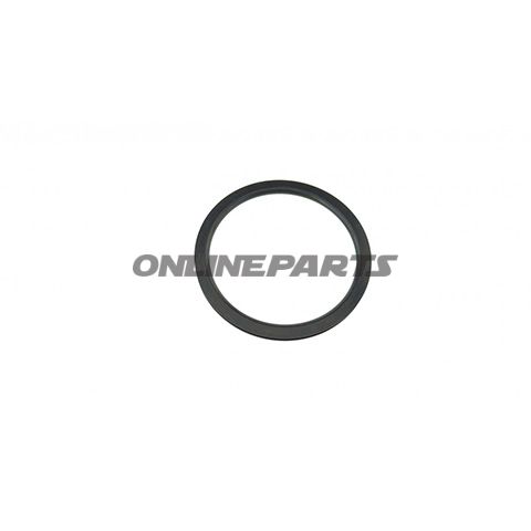 Sealing Ring (Orig Spare Part)