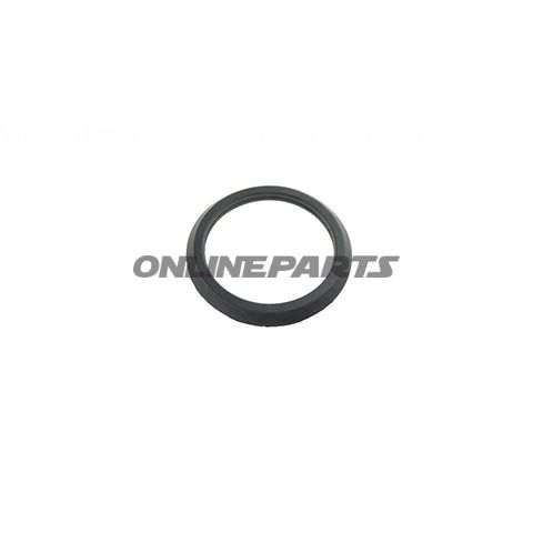 Sealing Ring (Orig Spare Part)