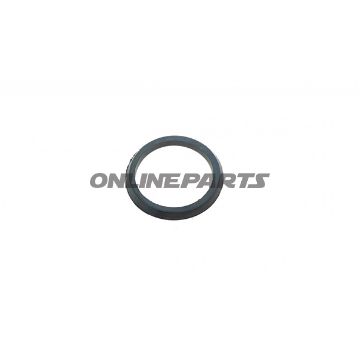 Sealing Ring (Orig Spare Part)
