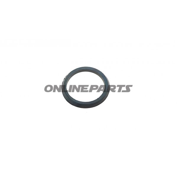 Sealing Ring (Orig Spare Part)