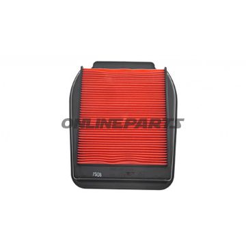 Air Filter (Orig Spare Part)
