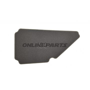 Air Filter (Orig Spare Part)