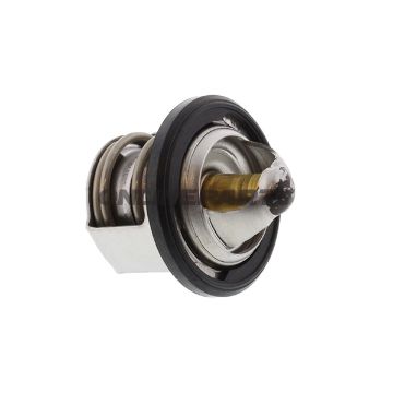 Thermostat (Orig Spare Part)