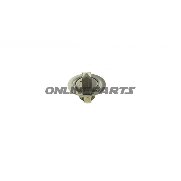 Thermostat (Orig Spare Part)