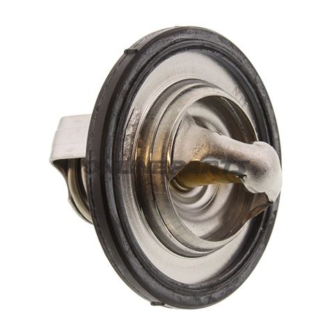 Thermostat (Orig Spare Part)