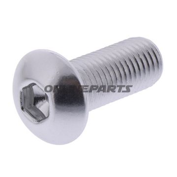 Dome Head Bolt Proboltm10x1.25Mm 25Mm Alu Silver