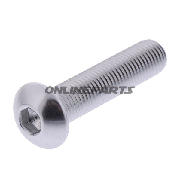Dome Head Bolt Proboltm10x1.25Mm 45Mm Alu Silver