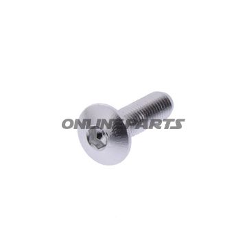 Dome Head Bolt Proboltm4x0.5Mm 12Mm Alu Silver