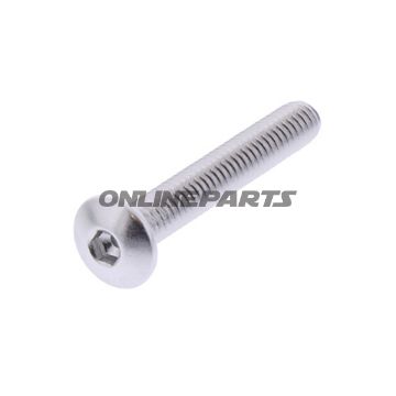 Dome Head Bolt Proboltm4x0.7Mm 25Mm Alu Silver