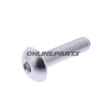 Dome Head Bolt Proboltm5x0.8Mm 20Mm Alu Silver