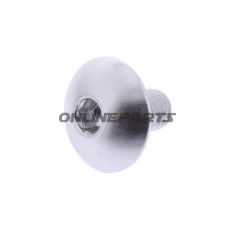 Dome Head Bolt Proboltm6x1.00Mm 10Mm Alu Silver