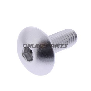 Dome Head Bolt Proboltm6x1.00Mm 16Mm Alu Silver
