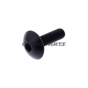 Dome Head Bolt Proboltm6x1.00Mm 20Mm Alu Black