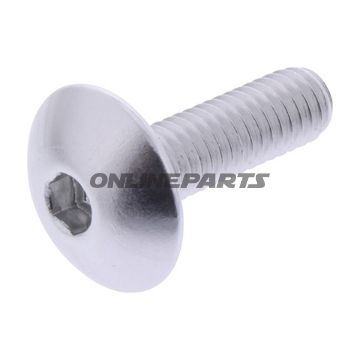 Dome Head Bolt Proboltm6x1.00Mm 20Mm Alu Silver