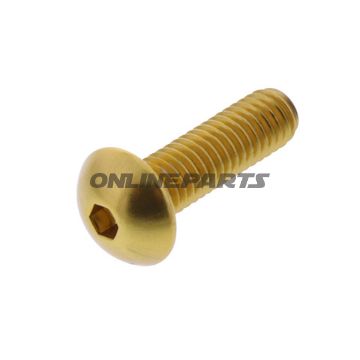 Dome Head Bolt Proboltm6x1.00Mm 20Mm Alu Gold
