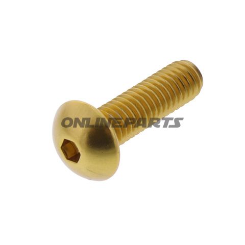 Dome Head Bolt Proboltm6x1.00Mm 20Mm Alu Gold