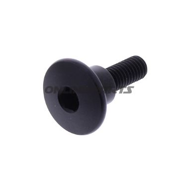 Dome Head Bolt Proboltm6x1.00Mm 22Mm Alu Black