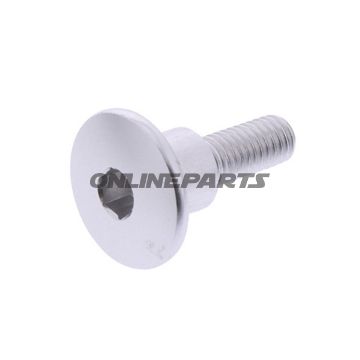 Dome Head Bolt Proboltm6x1.00Mm 22Mm Alu Silver