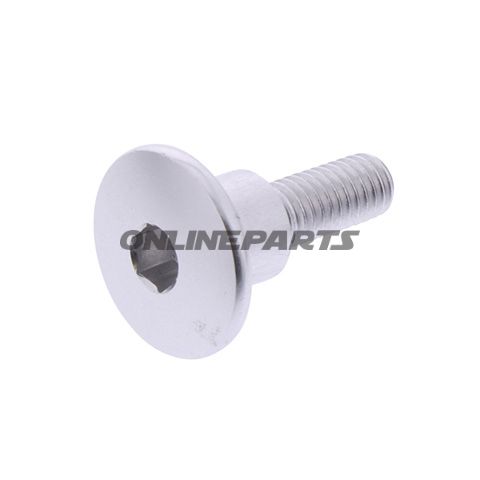 Dome Head Bolt Proboltm6x1.00Mm 22Mm Alu Silver