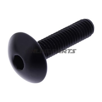 Dome Head Bolt Proboltm6x1.00Mm 25Mm Alu Black