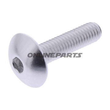 Dome Head Bolt Proboltm6x1.00Mm 25Mm Alu Silver