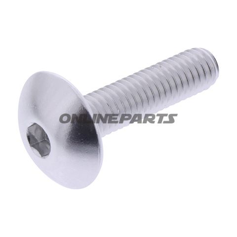Dome Head Bolt Proboltm6x1.00Mm 25Mm Alu Silver