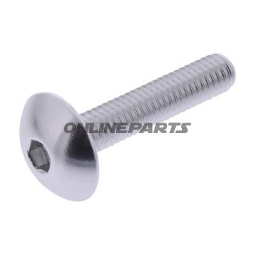 Dome Head Bolt Proboltm6x1.00Mm 30Mm Alu Silver