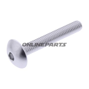 Dome Head Bolt Proboltm6x1.00Mm 40Mm Alu Silver